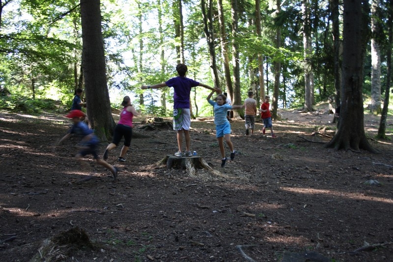 Village Camps International Summer Camp Leysin, Switzerland 2025-08-09 https://www.villagecamps.com/journals_admin/images/709-43-nature (37).jpg